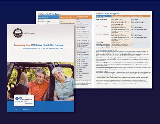My Portfolio: BlueCross BlueShield of TN