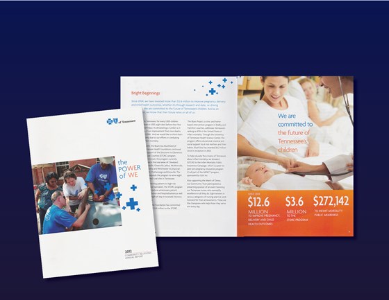 My Portfolio: BlueCross BlueShield of TN
