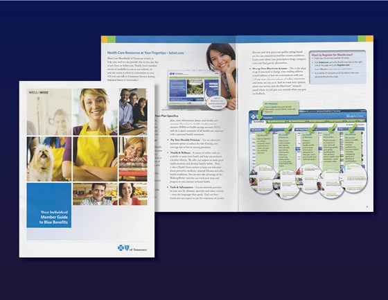 My Portfolio: BlueCross BlueShield of TN